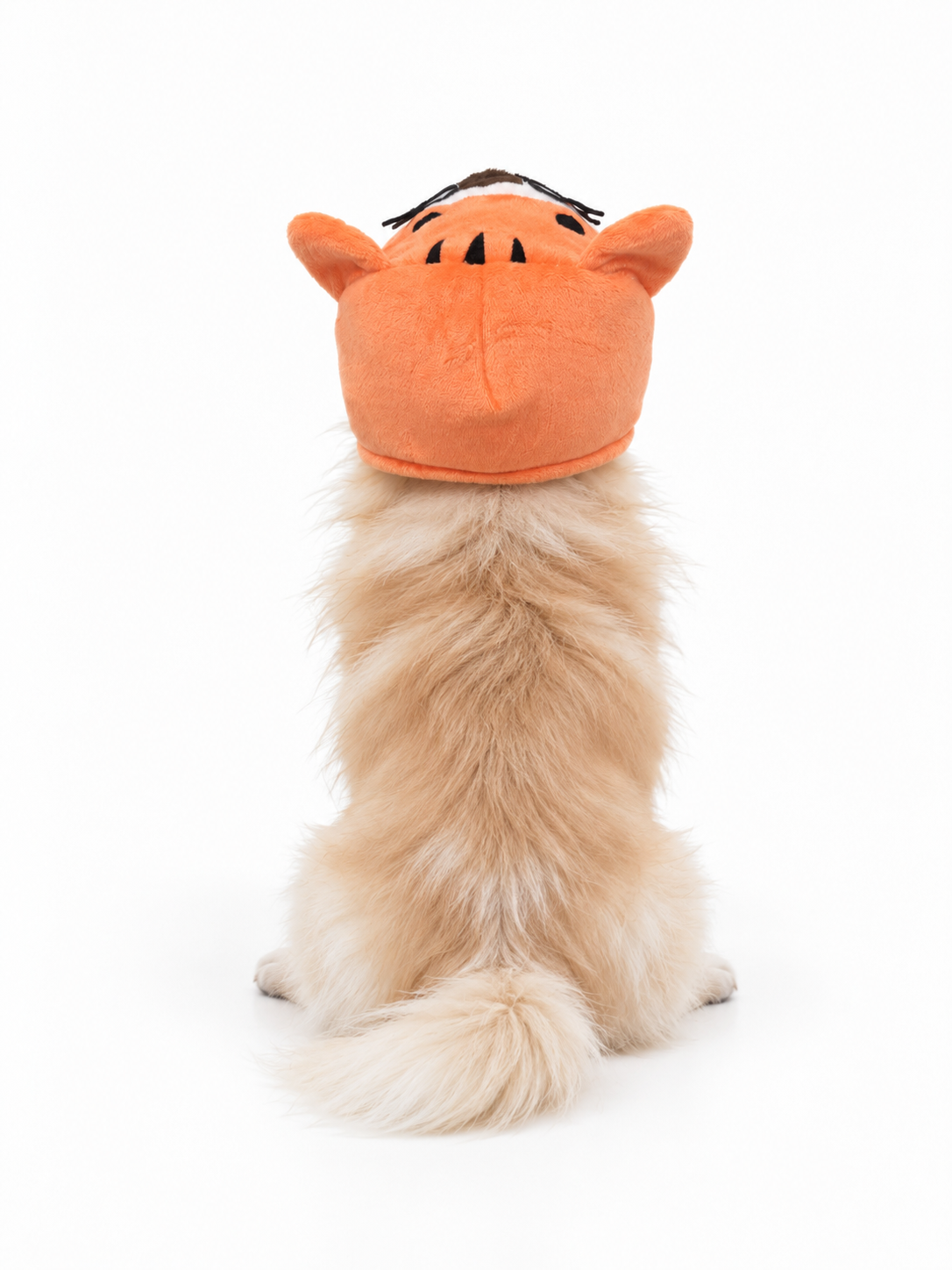 dogo